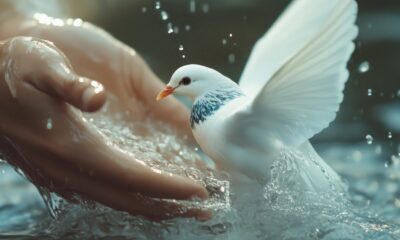 Hands gently cradle water as a dove takes flight, symbolizing peace and divine presence